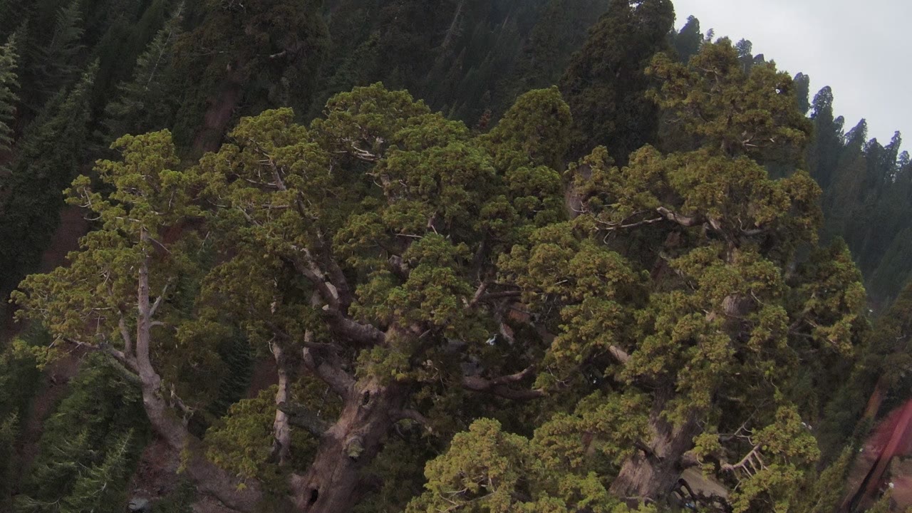Before: the drone shot as filmed, with a short shutter (the bottom-right of the frame, enlarged).